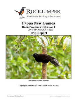Papua New Guinea Huon Peninsula Extension I 25Th to 30Th June 2019 (6 Days) Trip Report