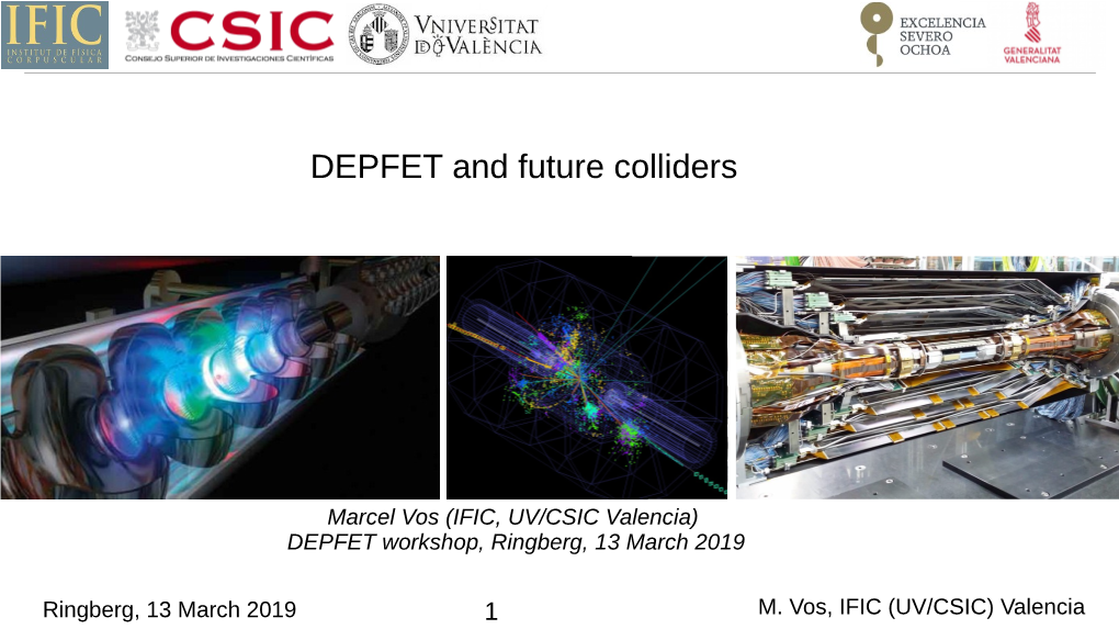DEPFET and Future Colliders