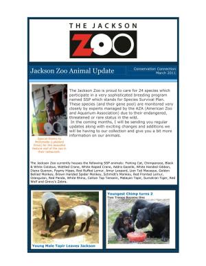 Jackson Zoo Animal Update March 2011