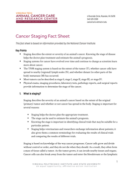 Cancer Staging Fact Sheet