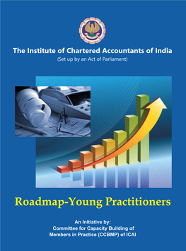 Roadmap-Young Practitioners CA