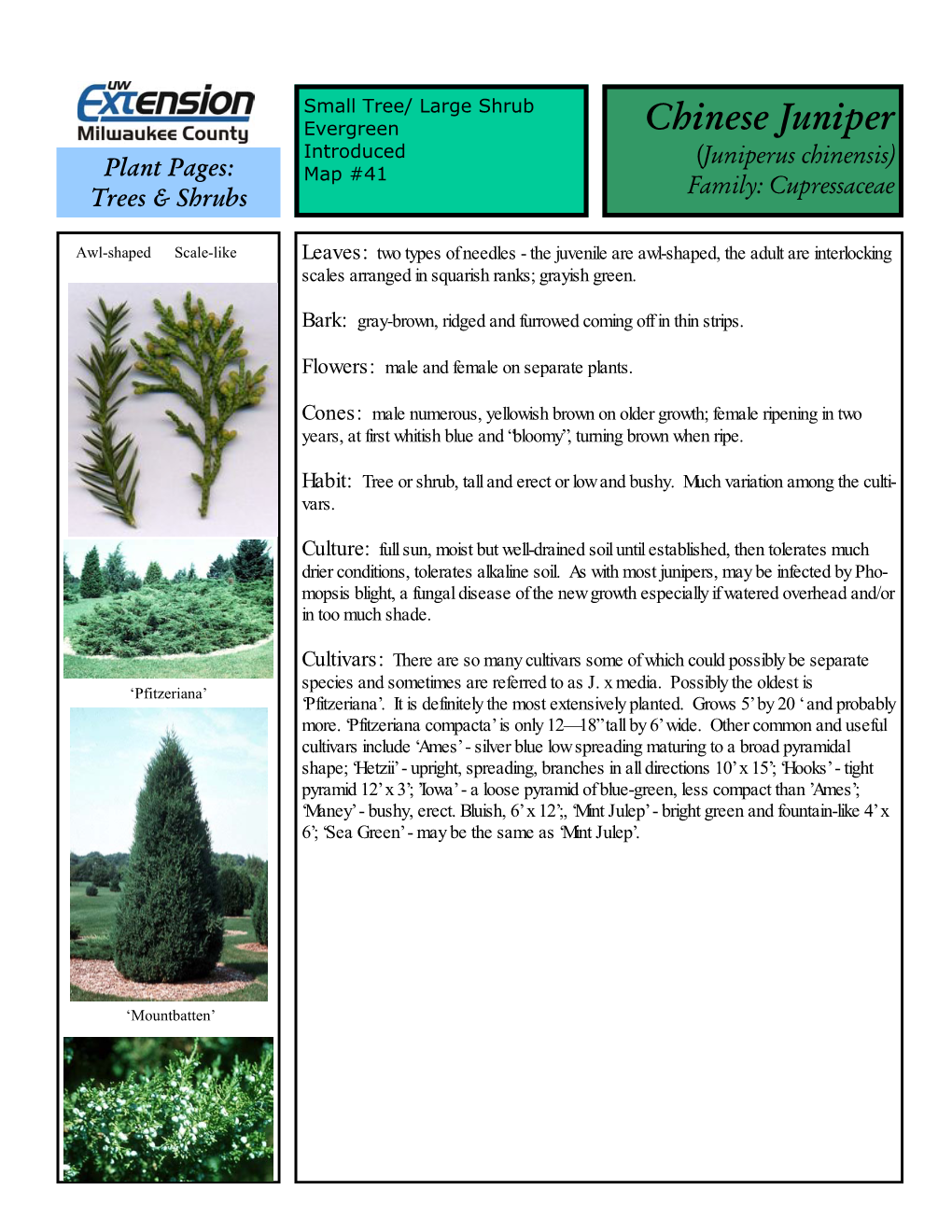 Chinese Juniper Introduced (Juniperus Chinensis) Plant Pages: Map #41 Family: Cupressaceae Trees & Shrubs