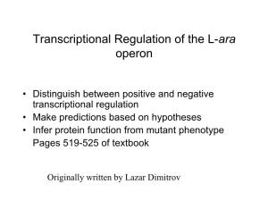Transcriptional Regulation of the L-Ara Operon