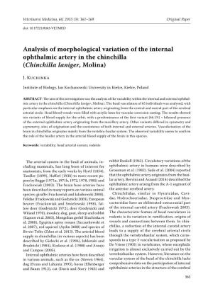 Analysis of Morphological Variation of the Internal Ophthalmic Artery in the Chinchilla (Chinchilla Laniger, Molina)