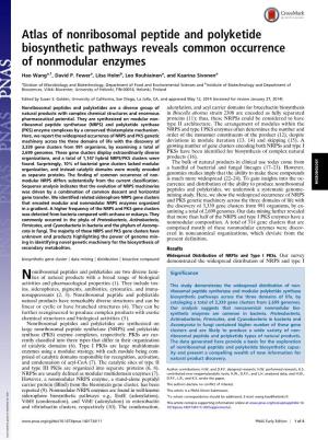 Atlas of Nonribosomal Peptide and Polyketide Biosynthetic Pathways Reveals Common Occurrence of Nonmodular Enzymes