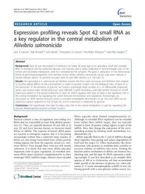 Expression Profiling Reveals Spot 42 Small RNA As a Key Regulator in The