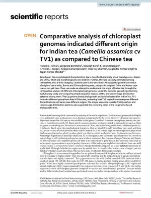 Comparative Analysis of Chloroplast Genomes Indicated Diferent Origin for Indian Tea (Camellia Assamica Cv TV1) As Compared to Chinese Tea Hukam C