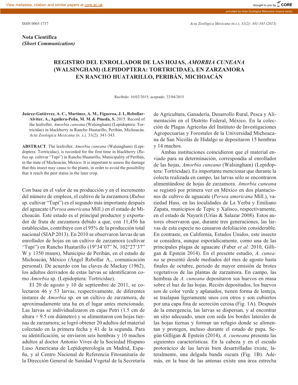 Registro Del Enrollador De Las Hojas, Amorbia Cuneana (Walsingham) (Lepidoptera: Tortricidae), En Zarzamora En Rancho Huatarillo, Peribán, Michoacán