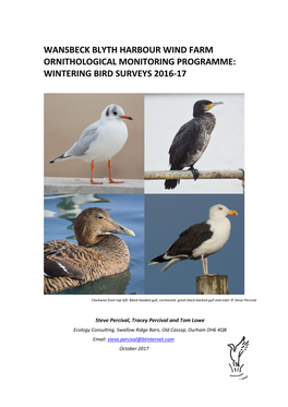 Wansbeck Blyth Harbour Wind Farm Ornithological Monitoring Programme: Wintering Bird Surveys 2016-17