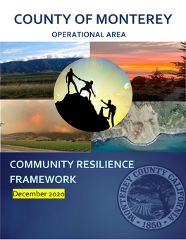 COMMUNITY RESILIENCE FRAMEWORK December 2020