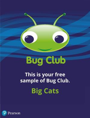 Bug Club Big Cats Sample