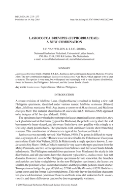 Lasiococca Brevipes (Euphorbiaceae): a New Combination
