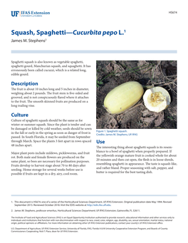 Squash, Spaghetti—Cucurbita Pepo L.1 James M