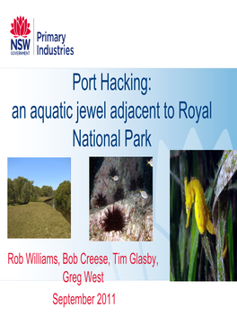 Port Hacking: an Aquatic Jewel Adjacent to Royal National Park