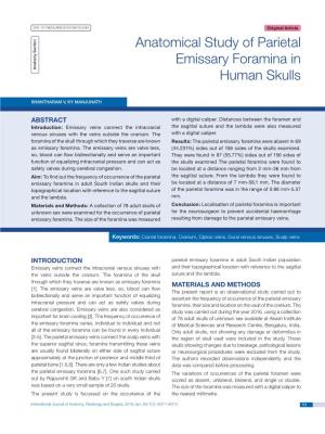 Anatomical Study of Parietal Emissary Foramina in Human Skulls