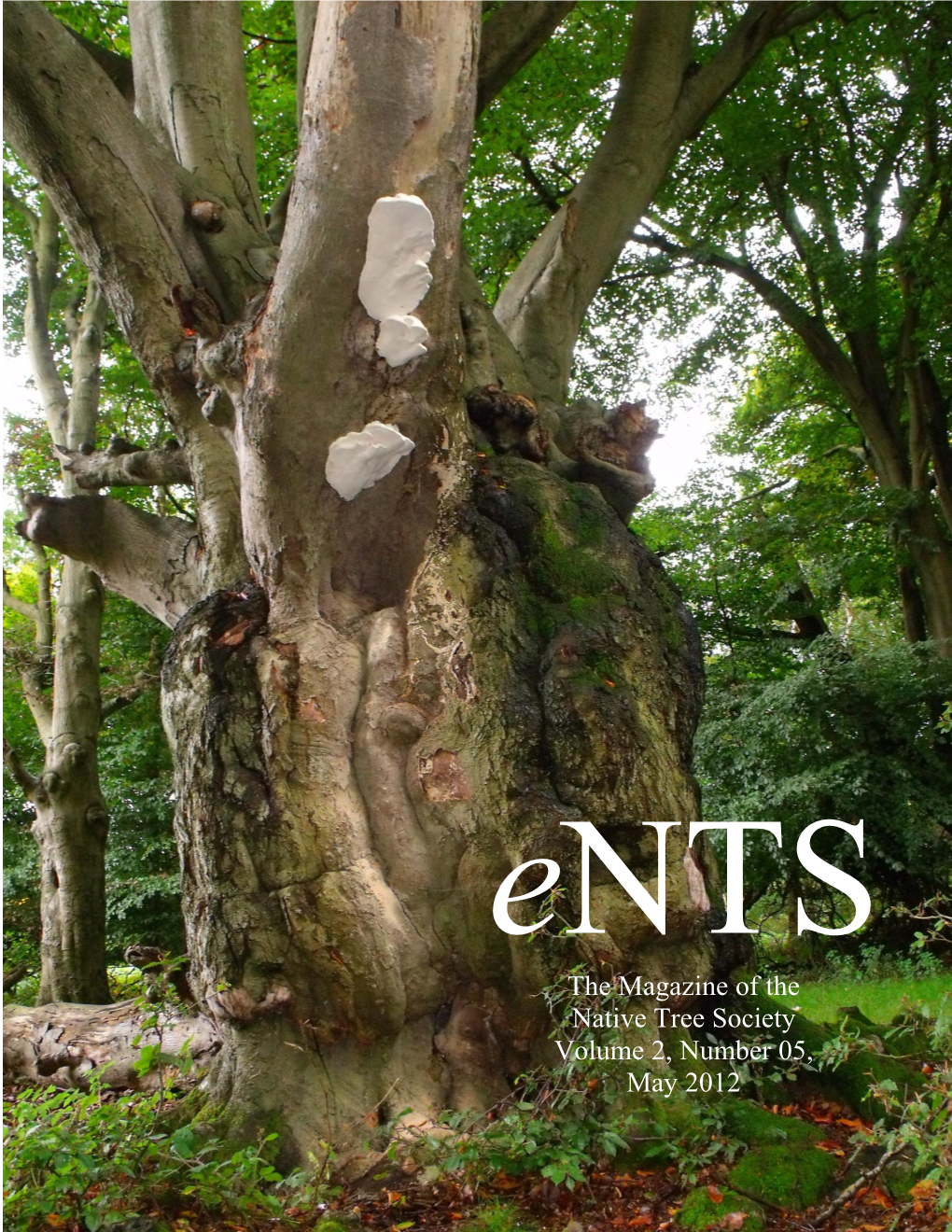 The Magazine of the Native Tree Society Volume 2, Number 05, May 2012