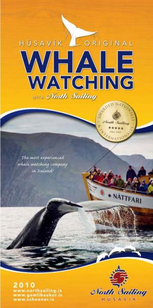 The Most Experienced Whale Watching Company in Iceland!