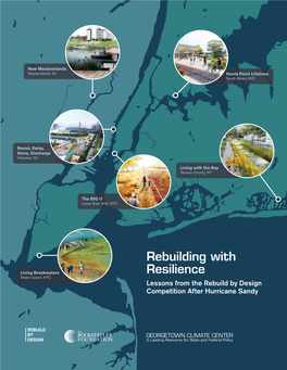 Rebuilding with Resilience Lessons from the Rebuild by Design Competition After Hurricane Sandy