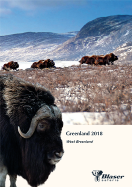 Greenland 2018 West Greenland
