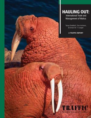 HAULING OUT: International Trade and Management of Walrus
