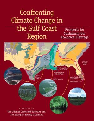 Confronting Climate Change in the Gulf Coast Region