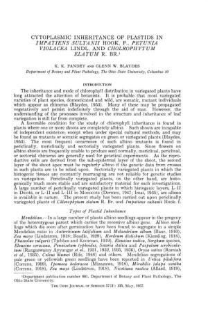 Cytoplasmic Inheritance of Plastids in Impatiens Sultanii Hook, F., Petunia