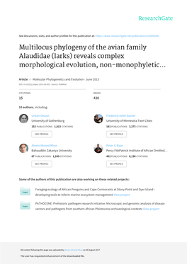 Multilocus Phylogeny of the Avian Family Alaudidae (Larks) Reveals Complex Morphological Evolution, Non-Monophyletic Genera and Hidden Species Diversity