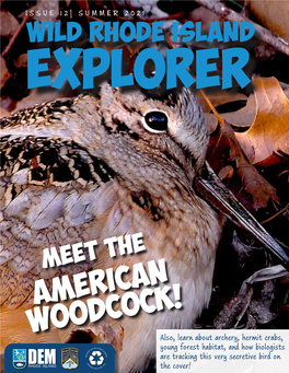 American Woodcock!
