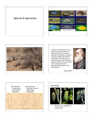 Species & Speciation