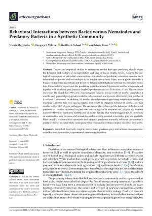 Behavioral Interactions Between Bacterivorous Nematodes and Predatory Bacteria in a Synthetic Community