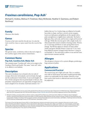 Fraxinus Caroliniana, Pop Ash1 Michael G
