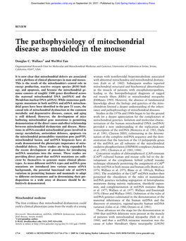 The Pathophysiology of Mitochondrial Disease As Modeled in the Mouse