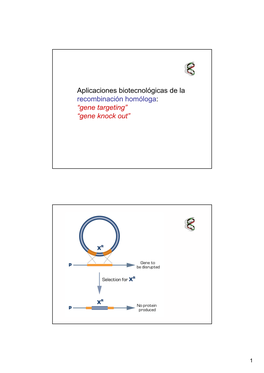 Aplicaciones Biotecnológicas De La Recombinación Homóloga: “Gene Targeting” “Gene Knock Out”