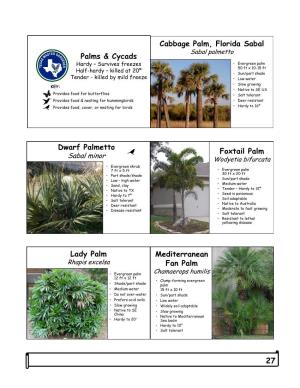 27 Palms & Cycads Cabbage Palm, Florida Sabal Dwarf Palmetto
