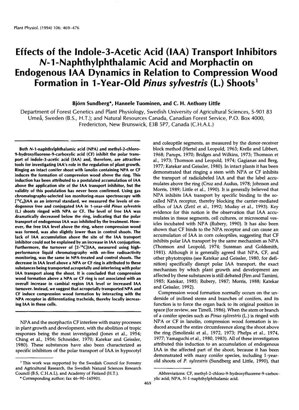 Effects of the Indole-3-Acetic Acid (IAA) Transport Inhibitors N-1