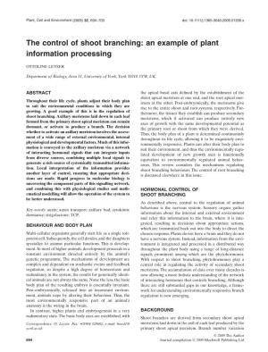 The Control of Shoot Branching: an Example of Plant Information Processing