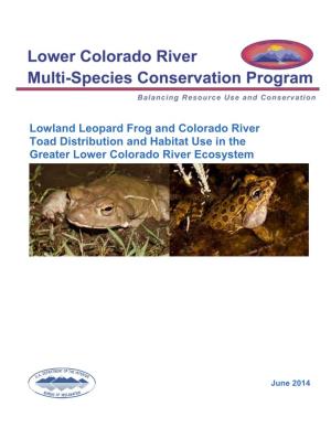 Lowland Leopard Frog and Colorado River Toad Distribution and Habitat Use in the Greater Lower Colorado River Ecosystem 2013