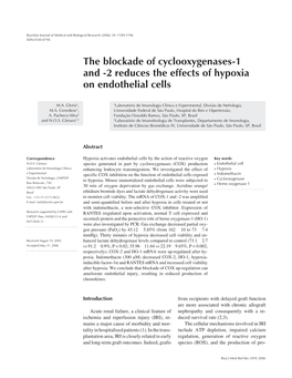 The Blockade of Cyclooxygenases-1 and -2 Reduces the Effects of Hypoxia on Endothelial Cells