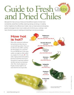 Guide to Fresh and Dried Chiles