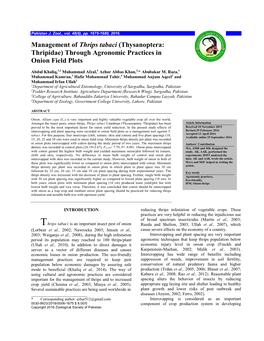 Management of Thrips Tabaci (Thysanoptera: Thripidae) Through Agronomic Practices in Onion Field Plots