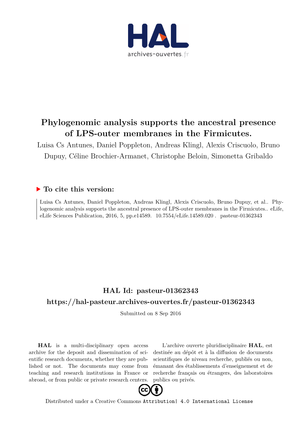 Phylogenomic Analysis Supports the Ancestral Presence of LPS-Outer Membranes in the Firmicutes