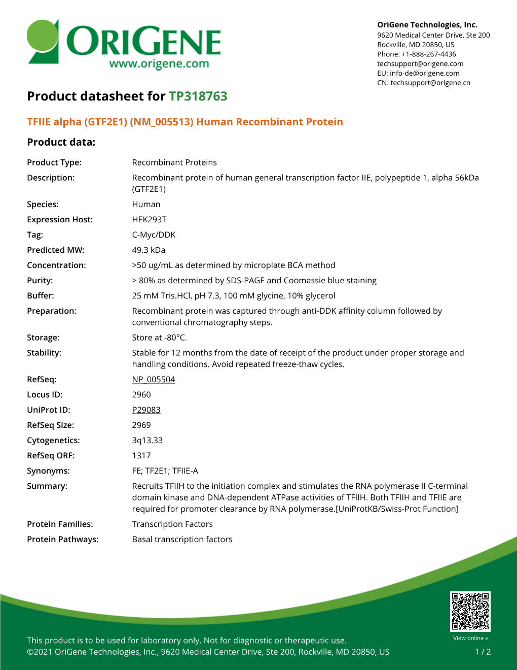 TFIIE Alpha (GTF2E1) (NM 005513) Human Recombinant Protein Product Data