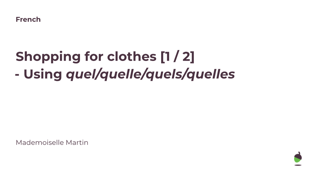 Shopping for Clothes [1 / 2] - Using Quel/Quelle/Quels/Quelles