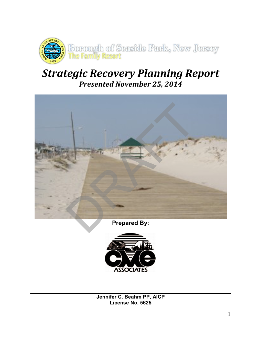 Strategic Recovery Planning Report Presented November 25, 2014
