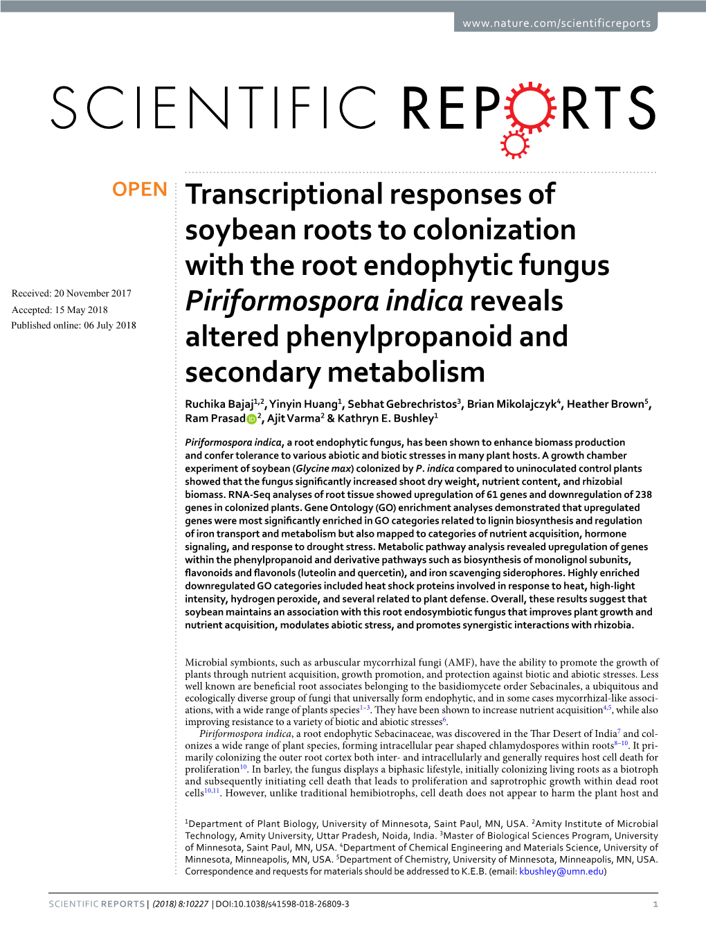 Transcriptional Responses of Soybean Roots to Colonization With