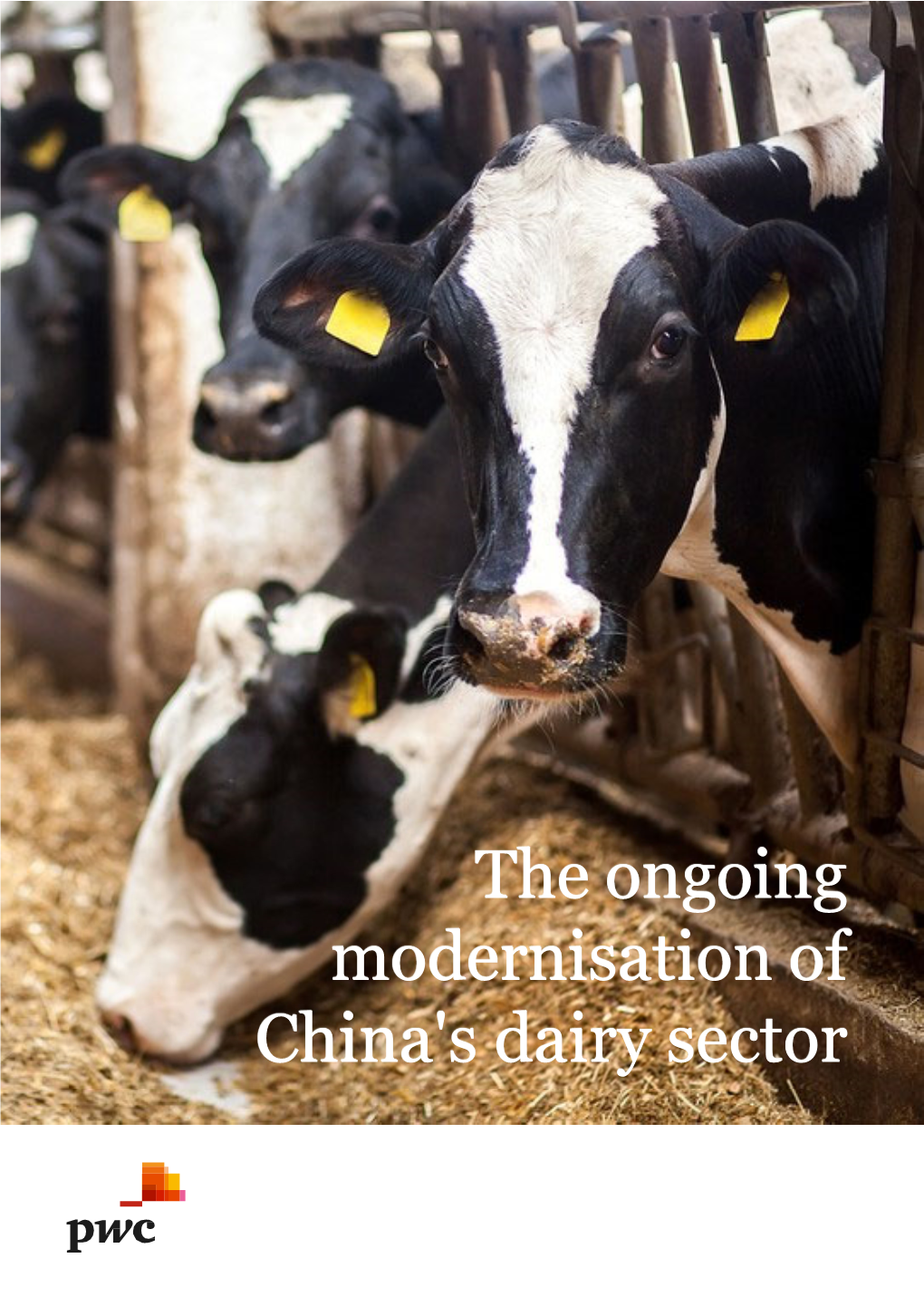 Dairy Sector