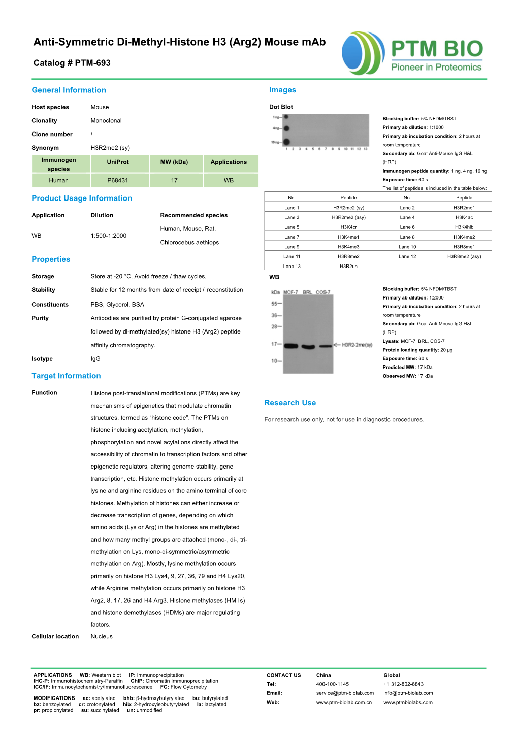 Anti-Symmetric Di-Methyl-Histone H3 (Arg2) Mouse Mab