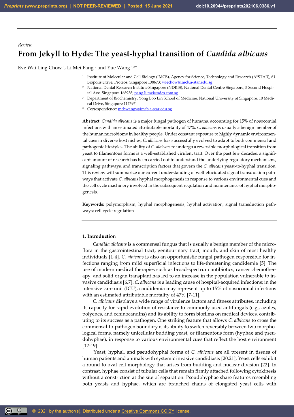 The Yeast-Hyphal Transition of Candida Albicans