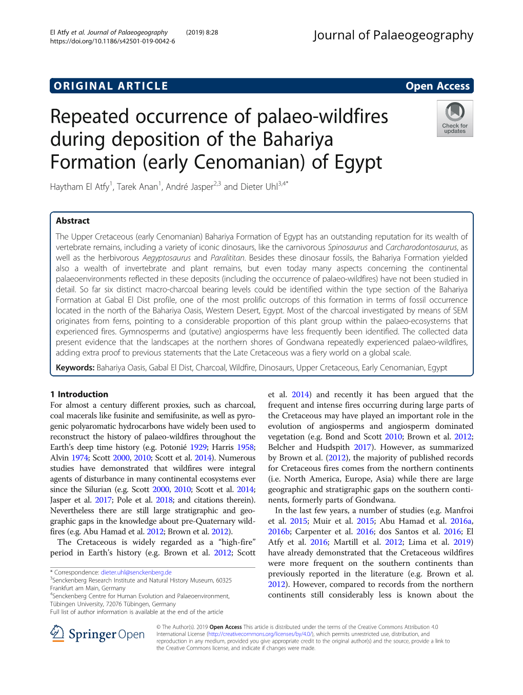 Repeated Occurrence of Palaeo-Wildfires During Deposition