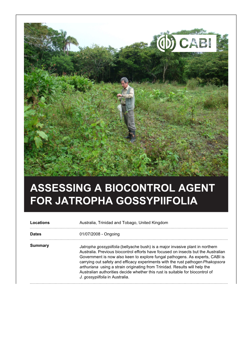 Assessing a Biocontrol Agent for Jatropha Gossypiifolia